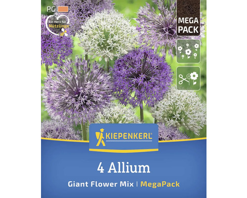 Logo Kiepenkerl. 4 Allium, mélange de fleurs géantes, méga pack.