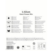 Informations sur Allium Giant Flower Mix: emplacement, utilisation, respect des insectes et origine