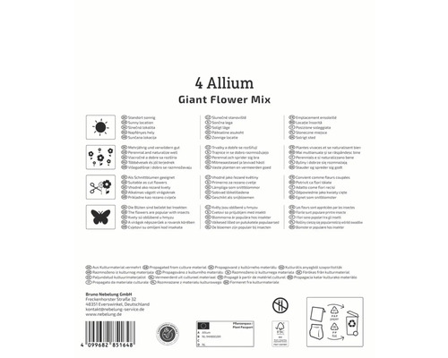 Informations sur Allium Giant Flower Mix: emplacement, utilisation, respect des insectes et origine