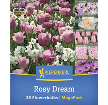 Rosy Dream bulbes de fleurs mégapack avec crocus, narcisses, tulipes, jacinthes et anémones