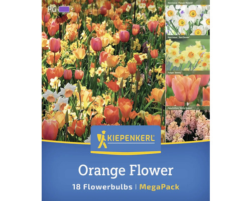 Blumenzwiebel Orange Flower Mischung Kiepenkerl Narzisse, Tulpe und Hyazinthe 18 Stück Kiepenkerl Orange Flower Blumenzwiebeln 18er-Pack