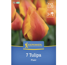 Logo Kiepenkerl, 7 Tulipa Flair