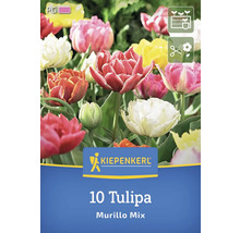 Logo Kiepenkerl 10 tulipes Murillo Mix