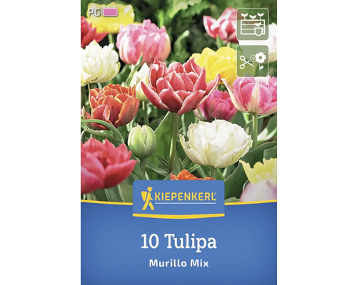 Logo Kiepenkerl 10 tulipes Murillo Mix