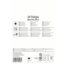 Informations sur Tulipa Murillo Mix, y compris l''emplacement, l''aptitude pour les pots et les fleurs coupées, ainsi que la propagation à partir de matériel de culture