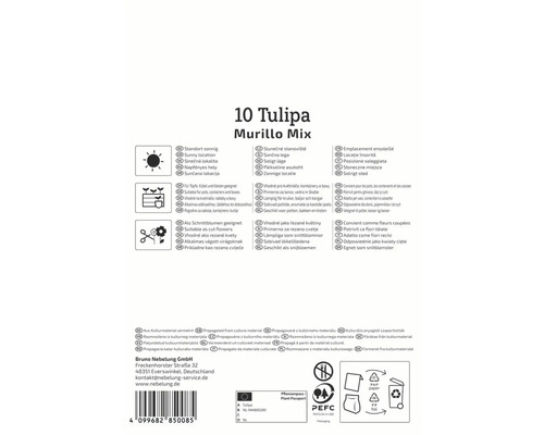 Informations sur Tulipa Murillo Mix, y compris l''emplacement, l''aptitude pour les pots et les fleurs coupées, ainsi que la propagation à partir de matériel de culture