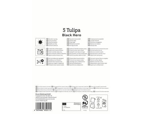 Emballage de 5 bulbes de tulipes Black Hero avec des informations sur l''emplacement, la plantation et l''utilisation