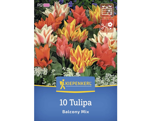 Bulbes de tulipes Balkonzauber Kiepenkerl 10 pièces Logo Kiepenkerl, 10 tulipes mélange pour balcon