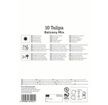 Emballage pour 10 bulbes de tulipes Balcony Mix avec des informations sur l''emplacement, la plantation et l''entretien