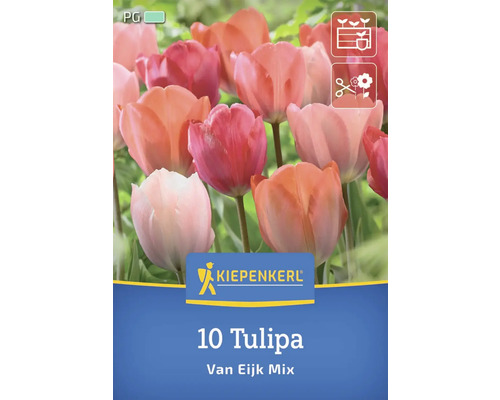 Kiepenkerl Lot de 10 tulipes Van Eijk Mix