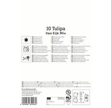 Emballage Tulipes Van Eijk Mix, convient aux emplacements ensoleillés et comme fleurs coupées, propagé à partir de matériel de culture
