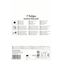 Informations sur le produit 7 Tulipa Estella Rijnveld