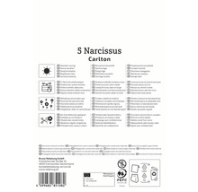 Emballage de narcisses Carlton avec des informations sur l''emplacement, l''utilisation et la propagation