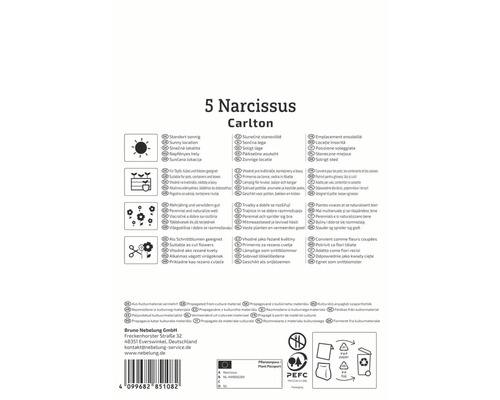 Emballage de narcisses Carlton avec des informations sur l''emplacement, l''utilisation et la propagation