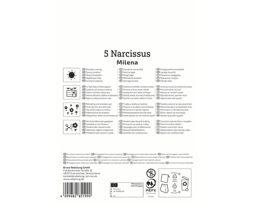 Verpackung von 5 Narzissen Milena mit Hinweisen zu Standort, Verwendung und Eigenschaften