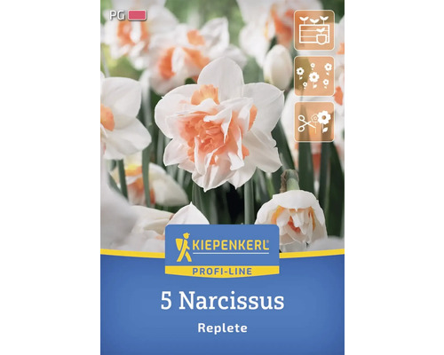 Blumenzwiebel Narzisse 'Replete' Kiepenkerl 5 Stück Verpackung mit fünf Narzissen der Sorte Replete