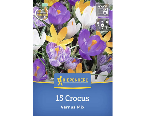 Crocus Vernus Mélange, 15 pièces