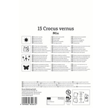 Informations sur le mélange de crocus, l''emplacement, la compatibilité avec les pots, la croissance pluriannuelle, l''attrait pour les insectes et la multiplication du matériel de culture