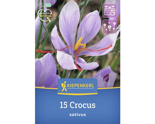Bulbes de crocus Kiepenkerl 15 pièces Kiepenkerl 15 Crocus, Sativus