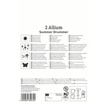 Informations sur Allium Summer Drummer, y compris l''emplacement, la période de floraison et l''utilisation