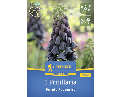 Emballage d''un bulbe de Fritillaria ''Purple Favourite'' de la marque Kiepenkerl