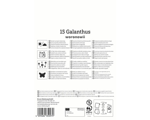 Verpackung Galanthus Woronowii mit Produktinformationen zu Standort, Pflege und Verwendung