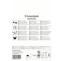 Emballage pour cinq bulbes de Leucojum aestivum