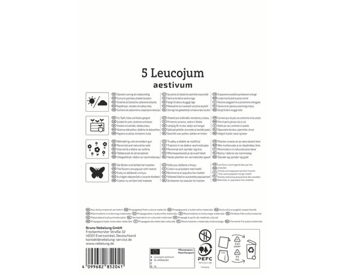 Emballage pour cinq bulbes de Leucojum aestivum