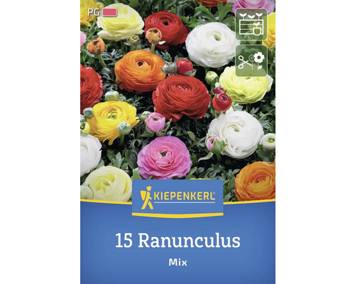 Blumenzwiebel Ranunkel Mix Kiepenkerl 15 Stück Verpackung mit 15 Ranunkeln, gemischte Farben
