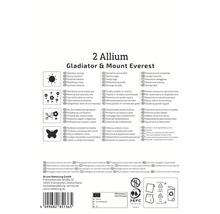 Emballage pour 2 bulbes d''Allium Gladiator et Mount Everest avec des informations sur l''emplacement, l''entretien et l''utilisation