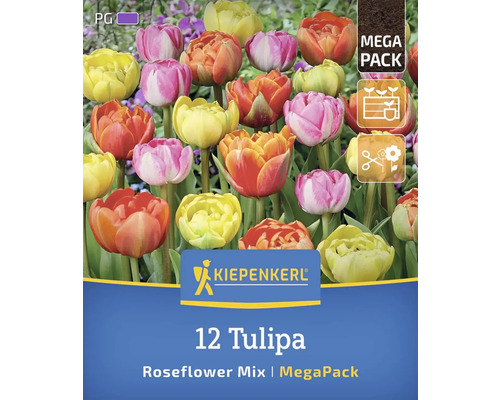 Logo Kiepenkerl, mélange de 12 tulipes fleurs de rose en méga-pack