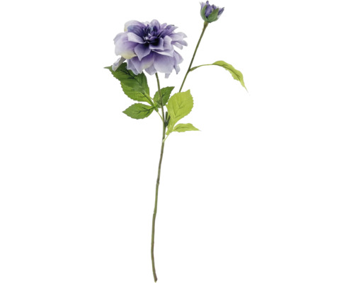 Dahlia décorative avec fleur et bouton