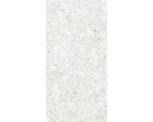 Feinsteinzeug Wand- und Bodenfliese Luxora white 30 cm x 60 cm x 0,85 cm rektifiziert Fliesenmuster mit Steinoptik