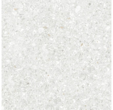 Nahaufnahme einer Bodenfliese mit Terrazzo-Muster.