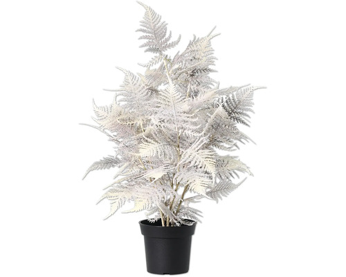 Silberner Kunst-Zierspargel im Topf