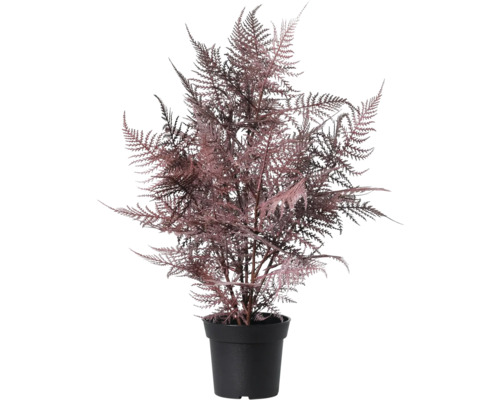 Fougère d''asperges artificielle dans un pot noir