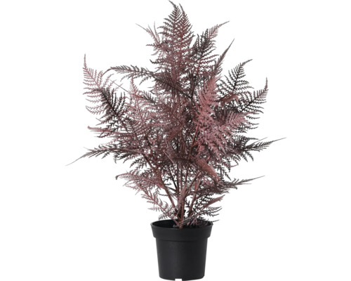 Asperge d''ornement artificielle dans un pot noir