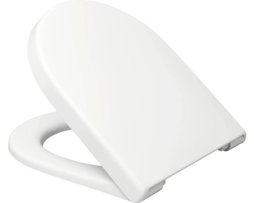 Toilettendeckel aus Kunststoff