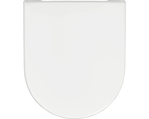 Toilettendeckel aus Kunststoff