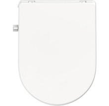 Abattant de WC en céramique sanitaire