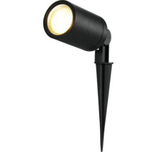 Projecteur de jardin noir avec piquet de terre