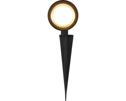 Luminaire de jardin avec piquet de terre