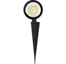 Lampe de jardin avec piquet pour éclairage extérieur