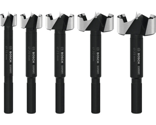 Différentes tailles de mèches Forstner Bosch