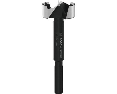 Mèche Forstner Bosch Professional ø 30 mm 30 x 88 mm, d 8 mm Mèche Forstner, diamètre 30 millimètres, marque Bosch Expert