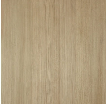 Texture de bois, gros plan