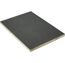 Siebdrucksperrholz Eucalyptus Sieb/Film 1250x2500x12 mm-thumb-1