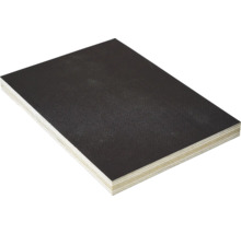Siebdrucksperrholz Eucalyptus Sieb/Film 1250x2500x21 mm-thumb-1