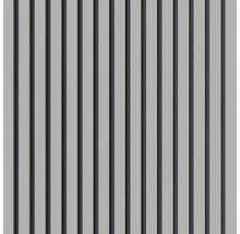 Regelmäßige vertikale Lamellenanordnung für Wand- oder Deckenverkleidung.