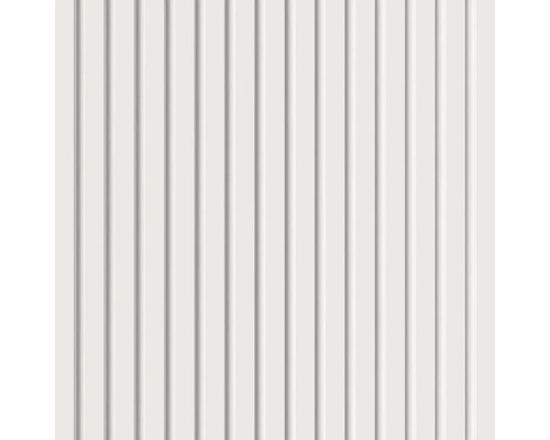 Revêtement de façade clair avec profils verticaux